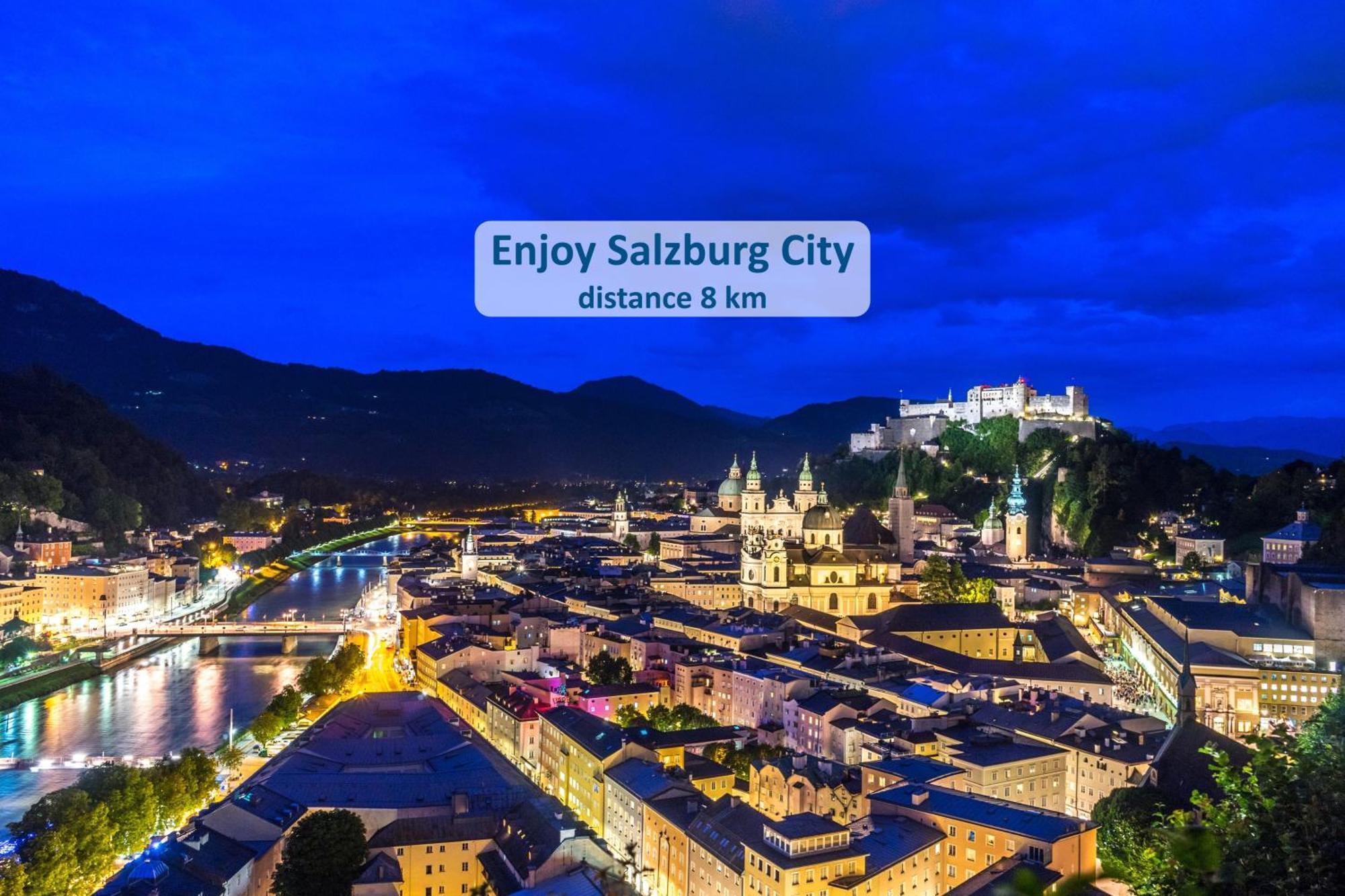 Mountain View Salzburg - Self Check-In - Apartments Грёдиг Экстерьер фото