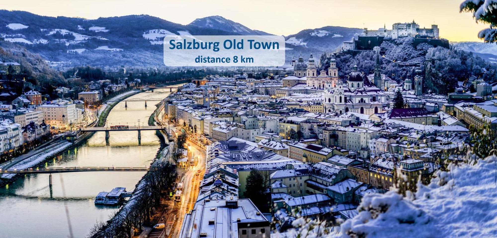 Mountain View Salzburg - Self Check-In - Apartments Грёдиг Экстерьер фото